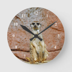 Meerkat Wildlife Photo Round Clock