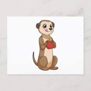 Meerkat with Apple Postcard