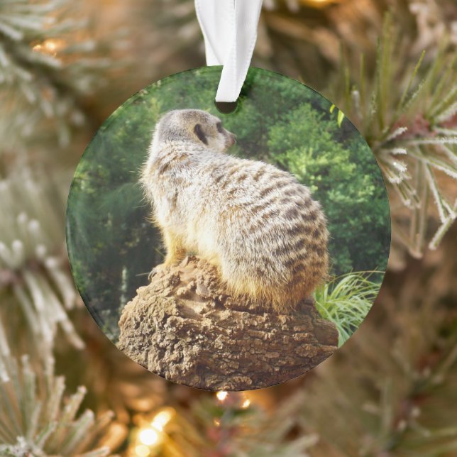 Meerkat With High Views, Ornament (Tree)