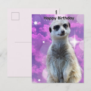 Meerkat With Sparkle, Birthday Postcard