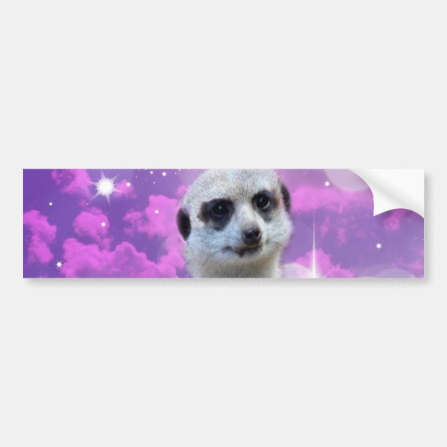 Meerkat With Sparkle, Bumper Sticker (Front)