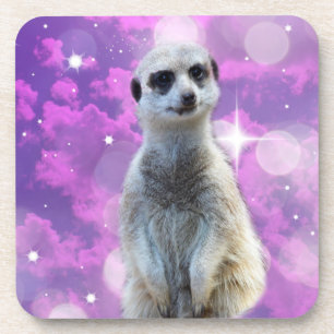 Meerkat With Sparkle, Coaster