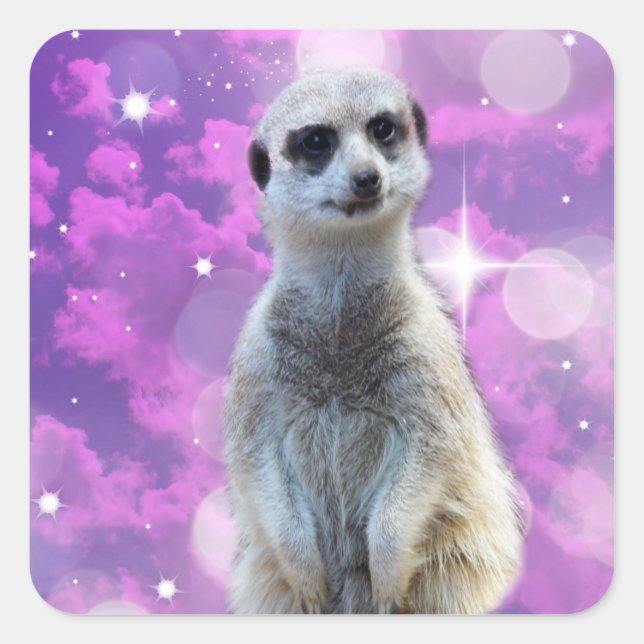 Meerkat With Sparkle, Square Sticker (Front)