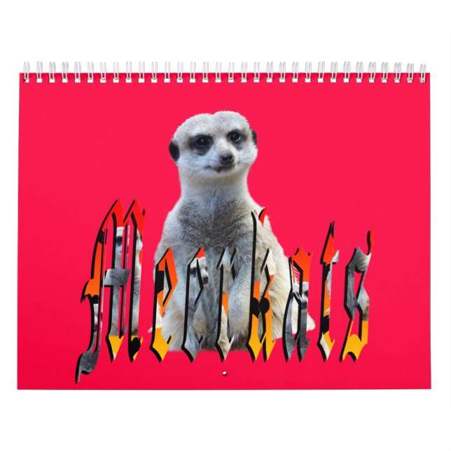 Meerkat With Style USA Holidays 2019, Calendar (Cover)