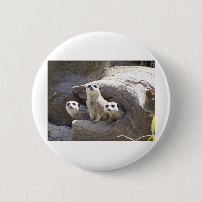 Meerkats 6 Cm Round Badge (Front)