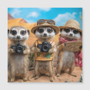 Meerkats Dressed as Tourists with Cameras and Maps