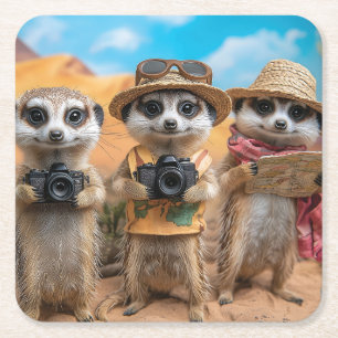 Meerkats Dressed as Tourists with Cameras and Maps Square Paper Coaster