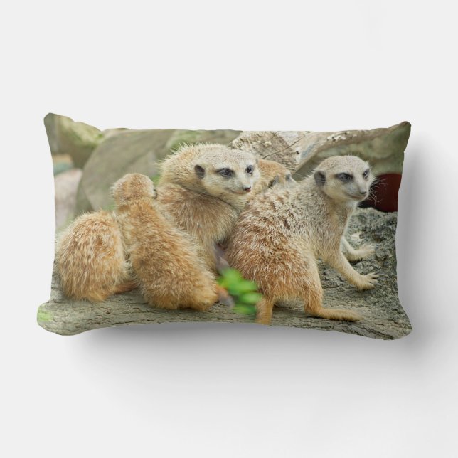 Meerkats family - pillow (Front)