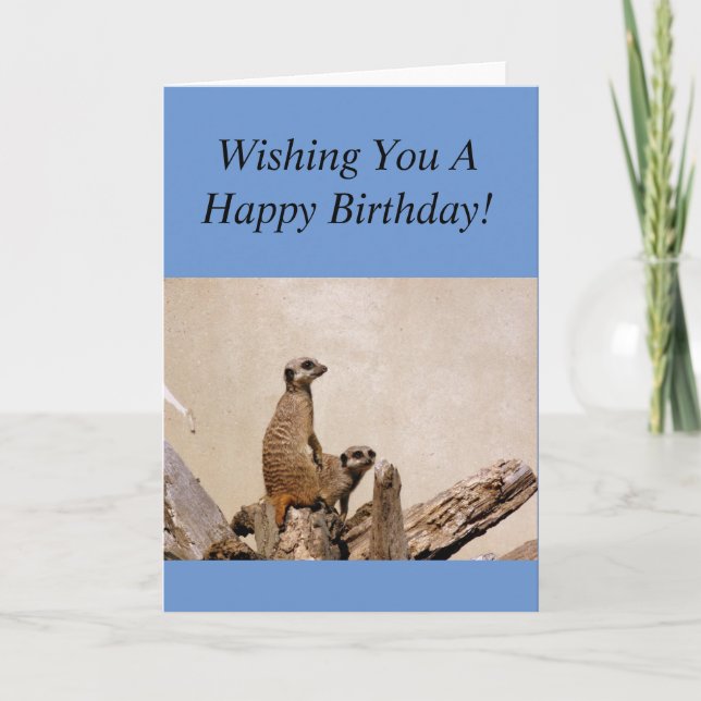 Meerkats Happy Birthday Greeting! Card (Front)