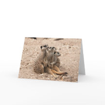 Meerkats In A Huddle Greeting Card