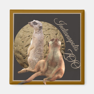 Meerkats  Indianapolis Zoo Magnet