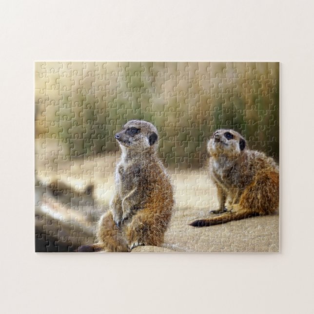 Meerkats. Jigsaw Puzzle (Horizontal)