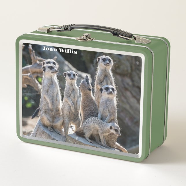 Meerkats  metal lunch box (Front)