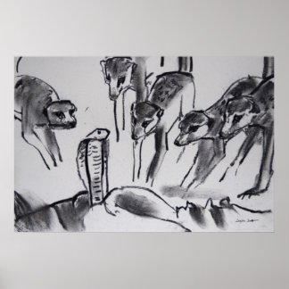 Meerkats mobbing Cobra - Art Print