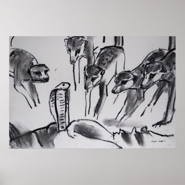 Meerkats mobbing Cobra - Art Print (Front)