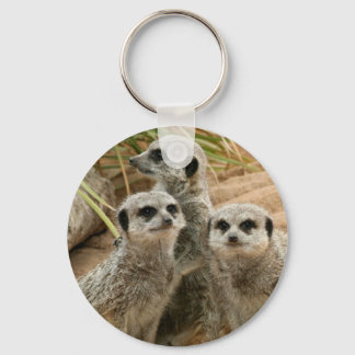 Meerkats on the lookout key ring