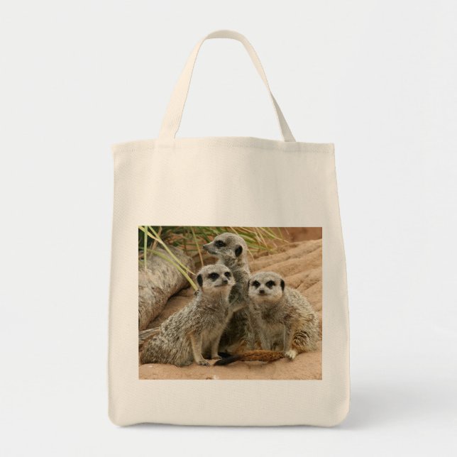 Meerkats on the lookout Organic tote Bag (Front)