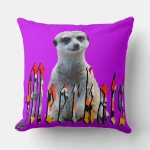 Meerkats: Standing Proud Behind the Name Cushion