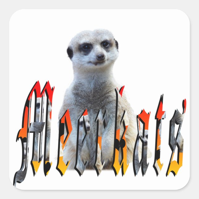 "Meerkats: Standing Proud Behind the Name" Square Sticker (Front)