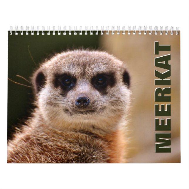 Meerkats Wall Calendar (Cover)