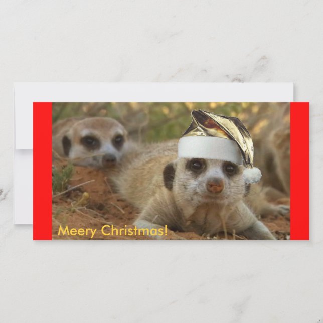 Meery Christmas Zaphod - Photo card (Front)