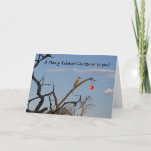 Meery Kalahari Christmas - Seaons Greetings Holiday Card