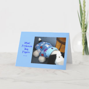 Meet Firehouse Dog, Figaro Greeting Card