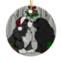 Meet me under the mistletoe Newfoundland