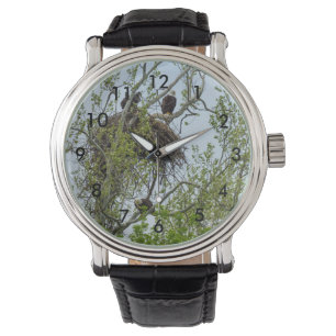 Meet The Eagle Family Watch