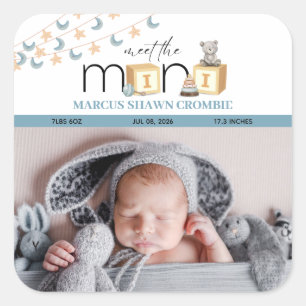 Meet The Mini Blue Baby Stickers