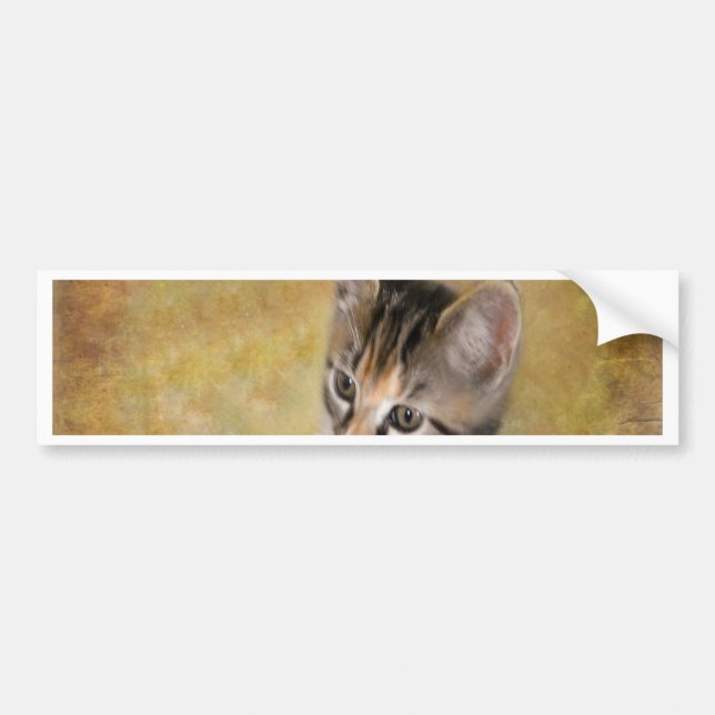 Meet Tiger Bumper Sticker (Front)