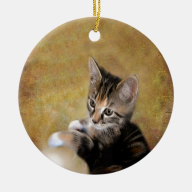 Meet Tiger Ceramic Ornament (Front)