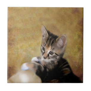 Meet Tiger Ceramic Tile