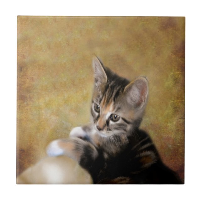 Meet Tiger Ceramic Tile (Front)