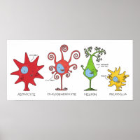 Meet your brain cells WIDE