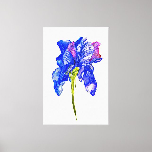 Mega Iris Canvas Print (Front)