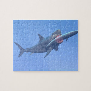 Megalodon eating a whale jigsaw puzzle