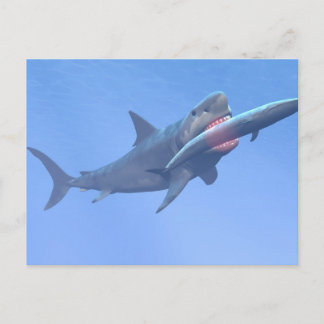 Megalodon eating a whale postcard