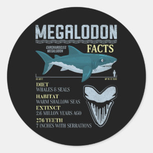 Megalodon Facts Meg Prehistoric Shark Tooth Fossil Classic Round Sticker