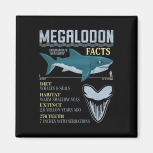 Megalodon Facts Meg Prehistoric Shark Tooth Fossil Magnet