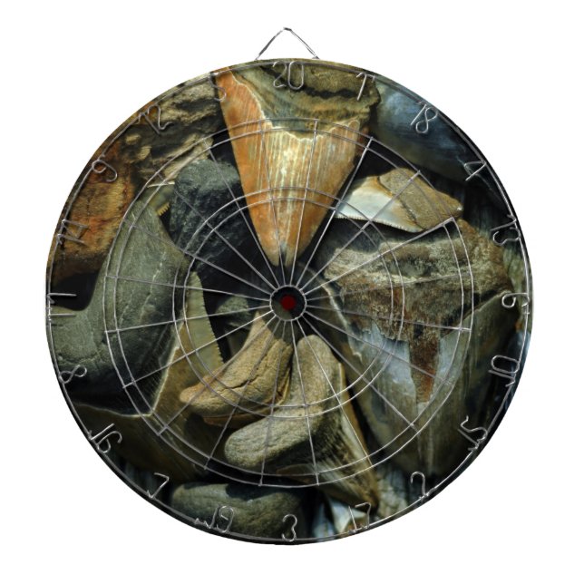 Megalodon Fossil Shark Teeth Dartboard (Front)