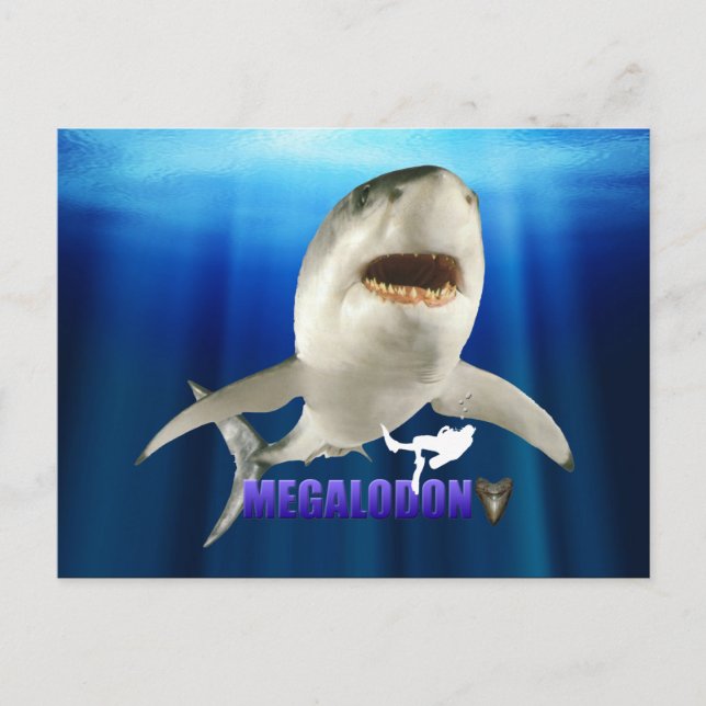 Megalodon Postcards (Front)