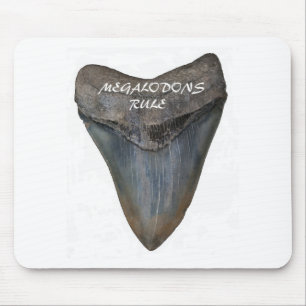 Megalodon Shark Tooth Mouse Pad