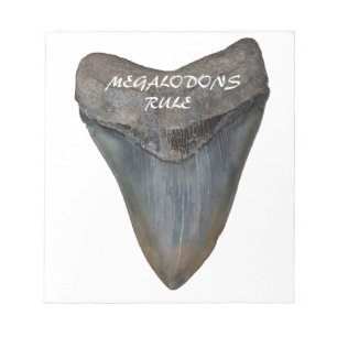 Megalodon Shark Tooth Notepad
