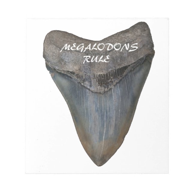 Megalodon Shark Tooth Notepad (Front)