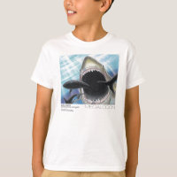 Megalodon
