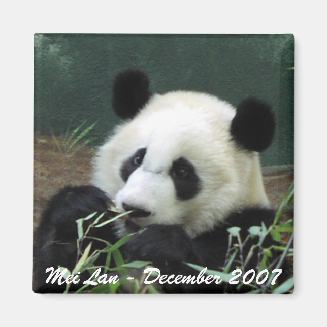Mei Lan Magnet (Front)