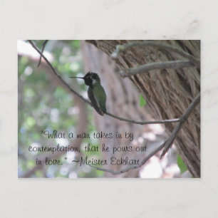 Meister Eckhart Contemplation Quote Hummingbird Postcard