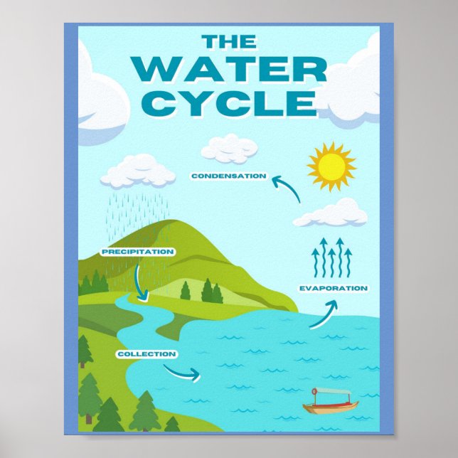 MEKIMI-The Water Cycle Educational Poster  (Front)