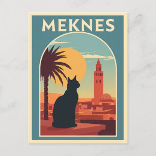 Meknes Morocco Sunset Cat Art Postcard
